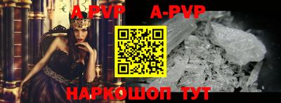 молекула духа Тверь