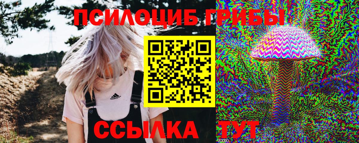 Псилоцибиновые грибы Magic Shrooms Муром