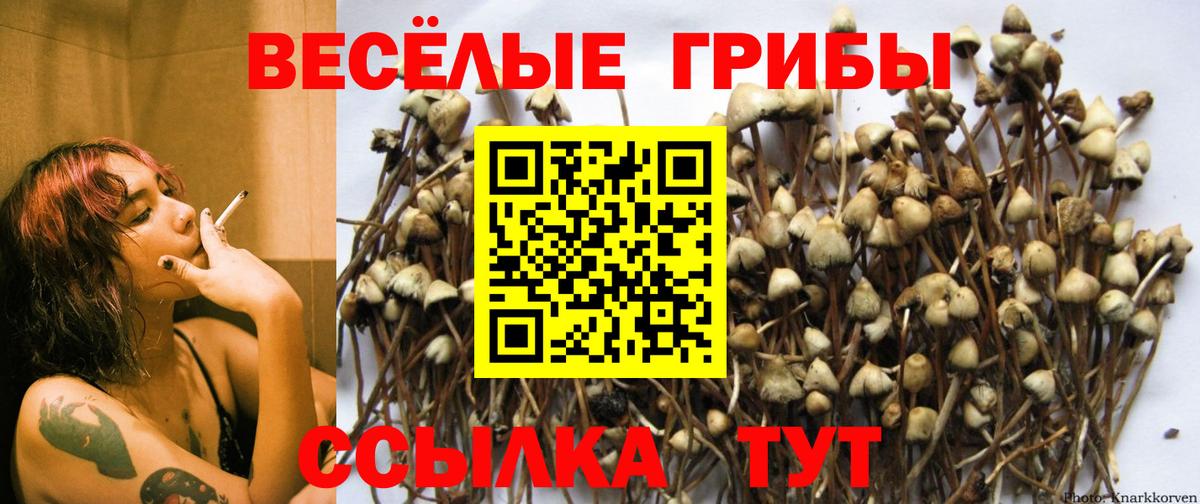 Муром  Псилоцибиновые грибы GOLDEN TEACHER  Вход с VPN 